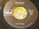 Freaky Acid Psych Slow Burn 45 The Picture Evolution / Reach Out Nasco EX HEAR
