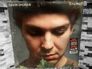 Gavin DeGraw Chariot “Fallen Leaf” Brown Vinyl Limited To 400 Copies. Sealed