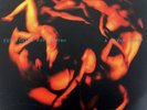 EVERYTHING EVERYTHING A Fever Dream NEW SEALED 2017 Rock LP Limited Import Vinyl