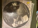 LED ZEPPELIN Picture Disc limited part import riot house