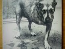 Alice In Chains – Alice In Chains 1995 1st Press [USA] DBL Vinyl LP  EX/Nr Mint