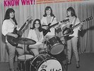 Girls With Guitars Know Why  / Various