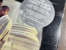 Junior M.A.F.I.A.- LIMITED RARE Vinyl 
