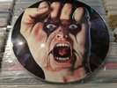 ALICE COOPER - RAISE YOUR FIST AND YELL - PICTURE DISC -  UK - EXCELLENT