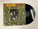 THE LEAVES Hey Joe LP Mira Records LP3005 US 1966 VG MONO  GARAGE ROCK  PSYCH