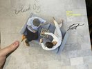 Peace or Love by Kings of Convenience Signed Vinyl