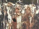 ZOVIET FRANCE - A Third Collusion - Vinyl (heavyweight white vinyl 2xLP)