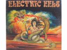 Electric Eels | Electric Eels | Private Press | Metal | Used Lp