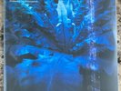 Hum-Downward Is Heavenward 2LP Vinyl