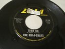 THE RIC-A-SHAYS Turn On/Groovy 45 Lola Rock Garage Surf Sixties