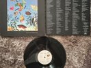 TALK TALK natural history (the very best of) (1st uk press) Vinyl LP PCSD 109