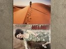 Helmet ‘Dead to the World’+’Seeing Eye Dog’ Vinyls