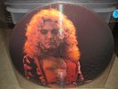 LED ZEPPELIN Vinyl Lp Picture Disc CENTRAL PARK 1969 Only 2000 Made RARE
