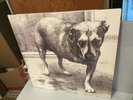 Alice In Chains 2 LP Set LP 3 Legged Dog  original 1995 Gatefold Original
