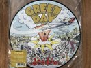 Green Day - Dookie Vinyl Record Picture Disc NEW Rare