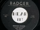 Crude Desperate WI Rockabilly 45 KEN DAVIS Shook Shake / Echo Rock BADGER rare
