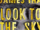 Look to the Sky (Limited Edition) [Analog]