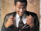 LUTHER VANDROSS NEVER TOO MUCH LP SOUL VINYL RECORD 1981 EPIC VG++