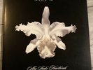 Aha Shake Heartbrake [LP] by Kings of Leon (Record, 2004)