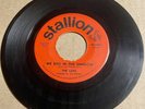 The Luvs 1963 NORTHERN SOUL DOOWOP 45 We Kiss In The Shadow  You Used To Be HEAR