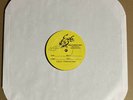 Against All Authority “Destroy What Destroys You” LP Test Pressing Punk Ska RARE