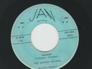 ROCKABILLY SURF INSTROS - ROCKIN FLAMES - SHIM SHAM  / CRICKET - HEAR -1959 JAN
