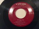 FIVE OWLS VULCAN 1025 Pleading To You/I Like Moonshine RARE DOO WOP R&B 45 BLUES