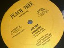 Mega Obscure Rare Atlanta GA 12  Modern Soul Boogie Funk / ARLANA  - Springtime