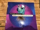 Digable Planets Reachin' ( a new refutationof time and space) Vinyl LP New