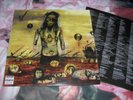 SLAYER -CHRIST ILLUSION-  AWESOME  2013 PRESS VINYL LP AMERICAN REC.