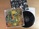 Brutus - Behind The Mountains   FINLAND 2013  insert  GAT   LP   Vinyl  vg++
