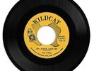 DOO WOP 45 THE LYRICS OH PLEASE LOVE ME ON WILDCAT  VG+ ORIGINAL