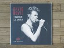 DAVID BOWIE ‎– Ouvrez Le Chien [Live Dallas 95] 2xLP, Neuf