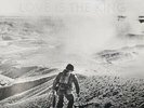 Jeff Tweedy Love Is The King CLEAR vinyl LP NEW/SEALED