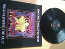 the cult 3x12inch vinyl sweet soul,sun king,wildflower,lines on vinyl reflection