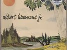 Albert Hammond Jr - Yours to Keep LP (2016) RSD NEW/SEALED