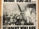 Alternative TV / Here And Now - What You See...Is What You Are (12