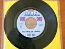 Johnny Rebel Still Looking For A Handout-45 Reb Rebel Records No. 515- VG