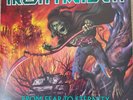 IRON MAIDEN - FROM FEAR TO ETERNITY - 3 LP VINYL PICTURE DISC - RECORD NWOBHM