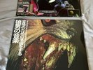 Machine Girl Vinyl LP Bundle- Wlfgrl, Because I’m Young Arrogant, Two-Record Lot