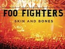 Foo Fighters - Skin And Bones - Vinyl Record.. - I7350I