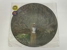 The Mars Volta | The Widow | Lt Ed 12