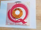 The Ardels, Run Hully Gully Boy, rare 1966 garage rock 45, Cancut, Canada