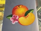 Phoenix - Bankrupt  LP On Vinyl French Electronic Pop