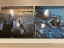 2 x Roxy Music Original Vinyl LPs Avalon & Siren
