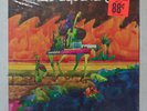 The Aquarians - Jungle Grass (UNI Records) 12