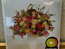 Tocotronic Schall & Wahn Colored Vinyl 20 rar sold out coloured neon grün pink M