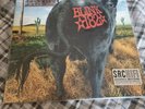 Blink 182 Dude Ranch Vinyl.  SRC HIFI Edition