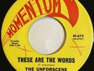 HEAR: The Unforscene - These Are The Words / You And Me 45 Rare 60s Garage Rock