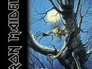 Fear of the Dark by Iron Maiden (Record, 2017)